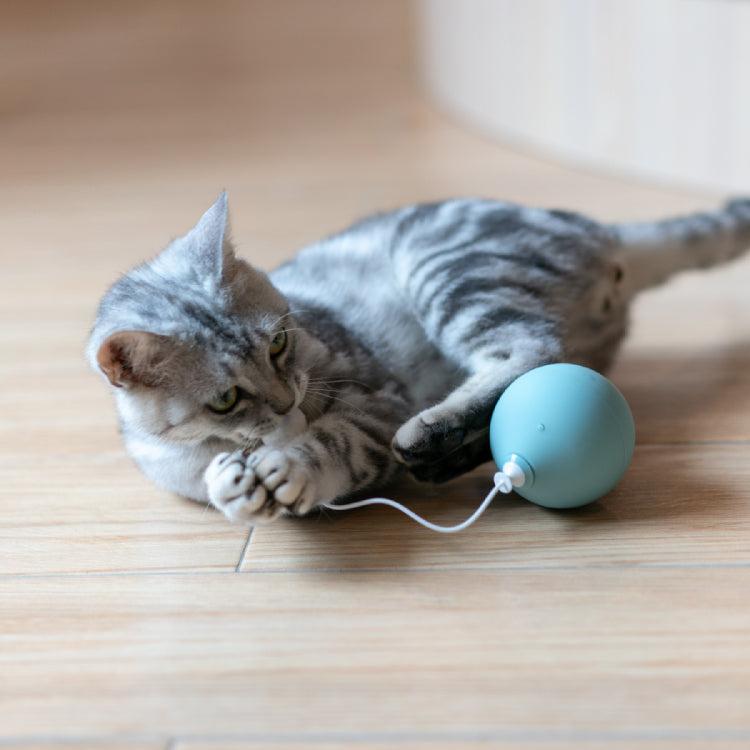 Giocattolo per animali domestici Tipo di palloncino