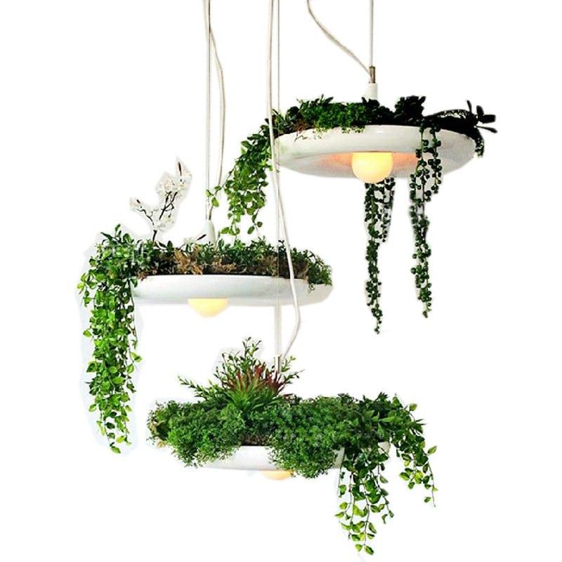 Mauricio - Modern Planter Lampshade