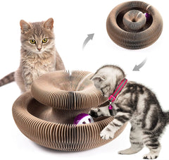 Organ Deformable Cat Ball Track With Cat Ball Toy