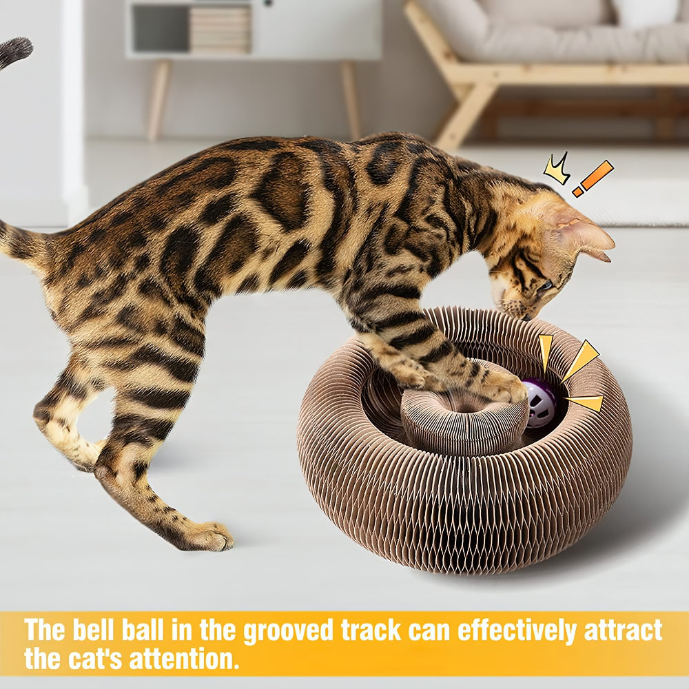 Organ Deformable Cat Ball Track With Cat Ball Toy