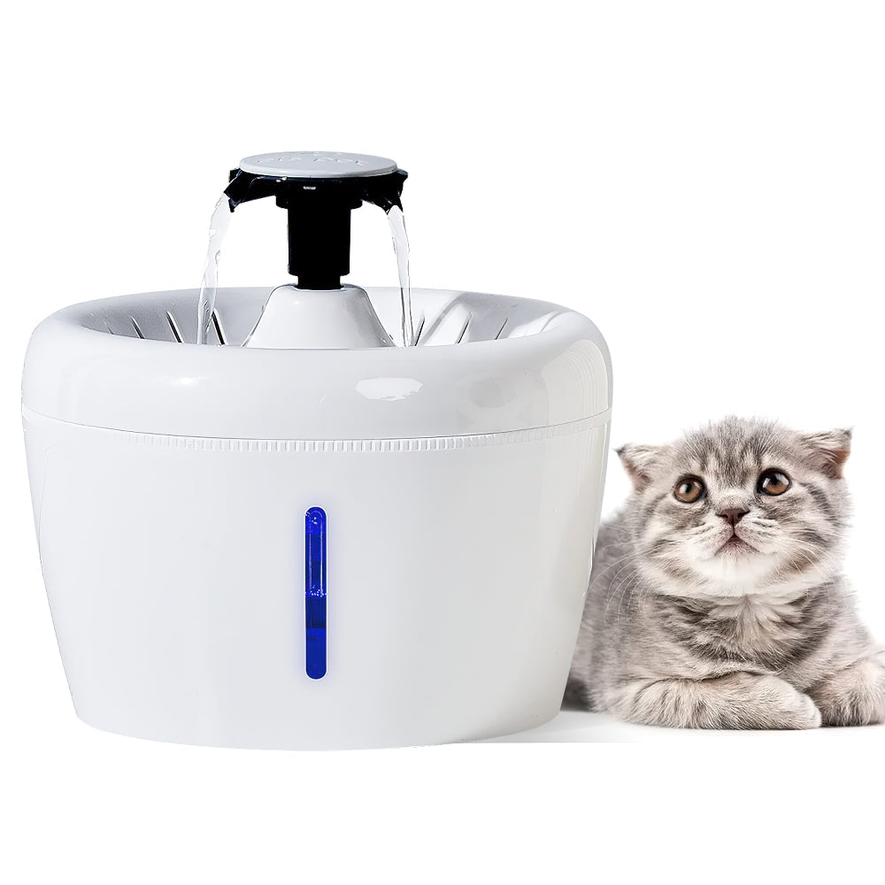 Apple Cat Water Fountain