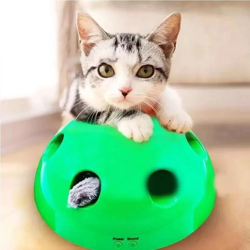 Interactive Motion Cat Toy