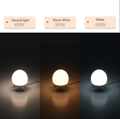 Dimmable LED Vanity Mirror Lights