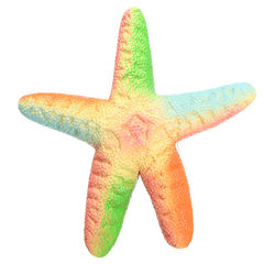 Xinda Squishy Starfish 14Cm Soft Slow Rising with Packaging Collection Gift Decor Toy