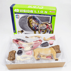 4D MASTER Lion Beast Wild Animal Internal Organs Anatomy Teaching Model Puzzle Assembly Toy