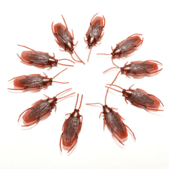 10Pcs Prank Funny Trick Joke Toys Lifelike Model Simulation Fake Cockroach Toys Kids Children Props