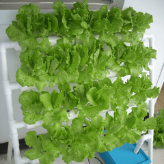 Hydroponics System Balcony Planting Machine 110-220V 36 Holes 4 Pipe Vegetable Planting Rack Soilless Cultivation Pipe