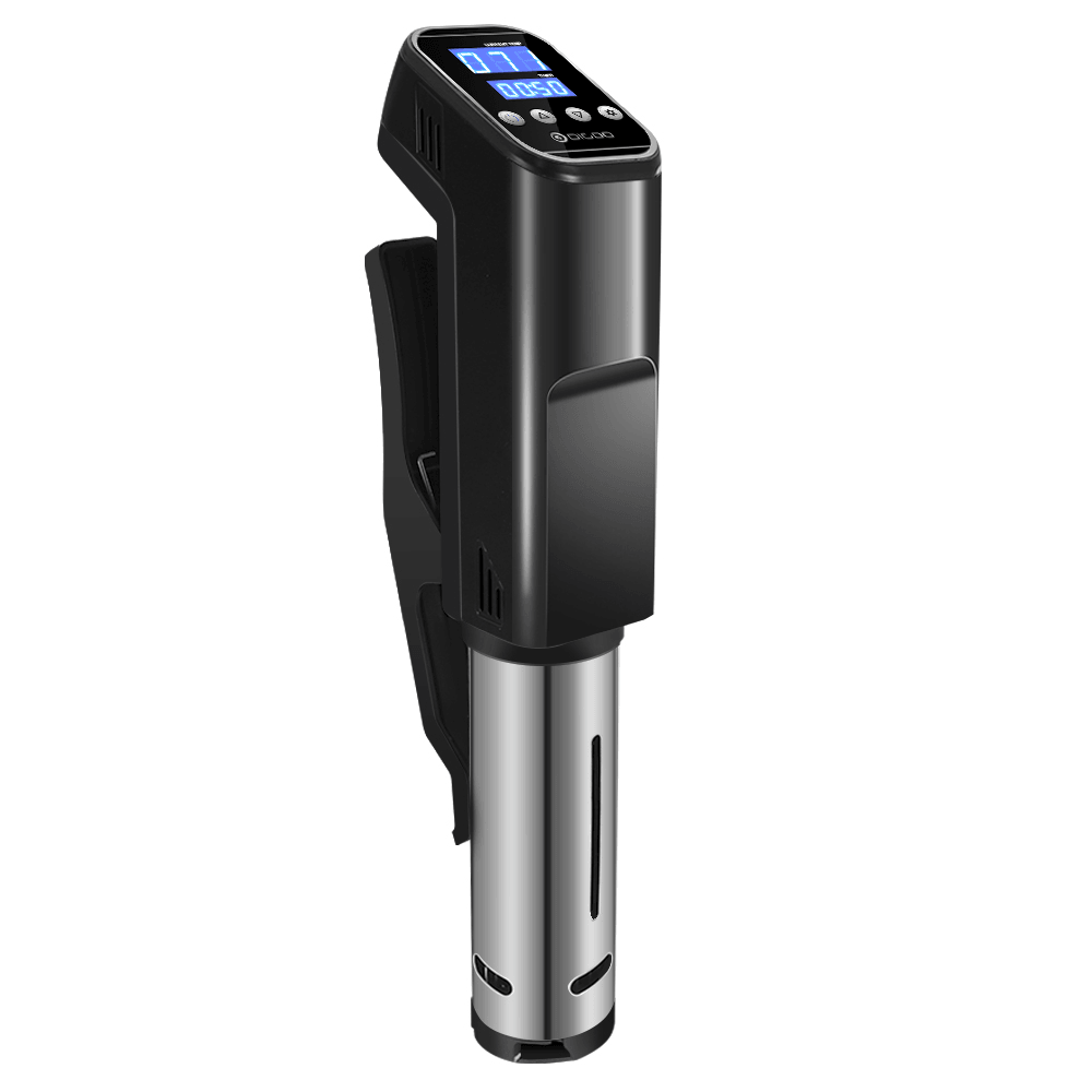 Digoo DG SV10 Sous Vide Cooker Digital Accurate Temperature Controlled Touch Screen