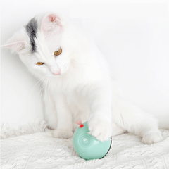 Smart Interactive Pet Toys LED Luminous Ball USB Charging Smart Cat Toy Automatic 360 Degree Self Rolling Balls