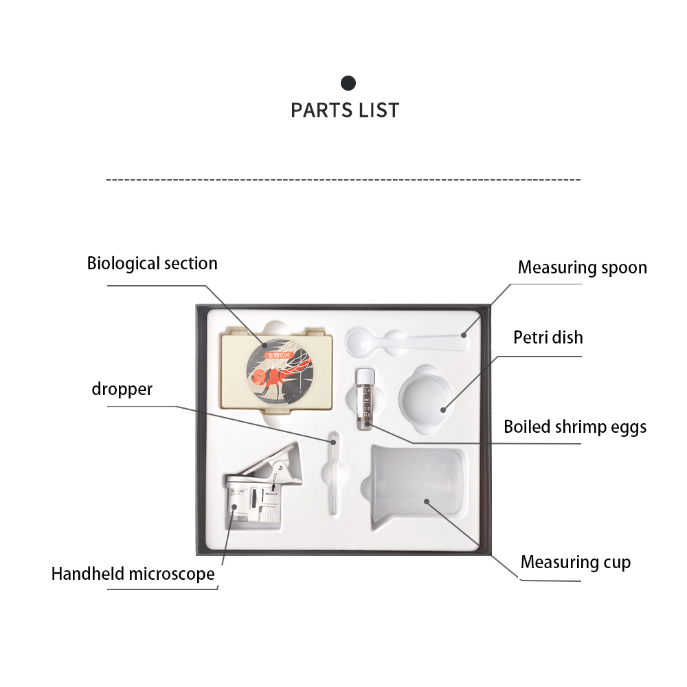 Batbunny Micro-World Portable Magnifying Glass Set Science Experimental Observation Toy