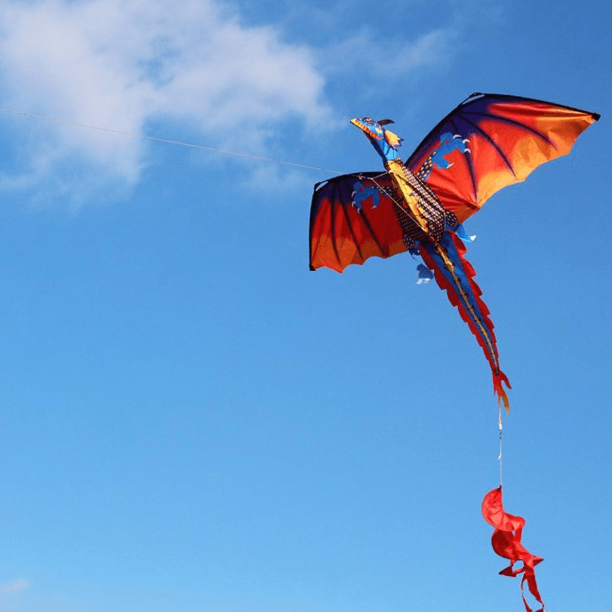 55 Inches Cute Classical Dragon Kite 140Cm X 120Cm Single Line Kite with Tail