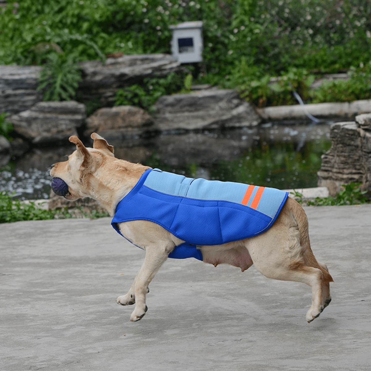 Chaleco fresco de verano para perros y mascotas, transpirable, cómodo, protector solar, ropa de refrigeración, chaqueta, chaleco para mascotas