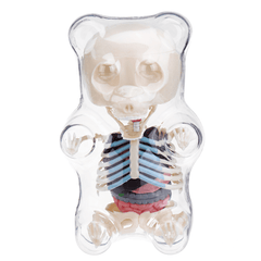 4D MASTER STEM Anatomy Model Gummi Bear Skeleton Anime Assembly Action Figure Gifts Science Animal Model