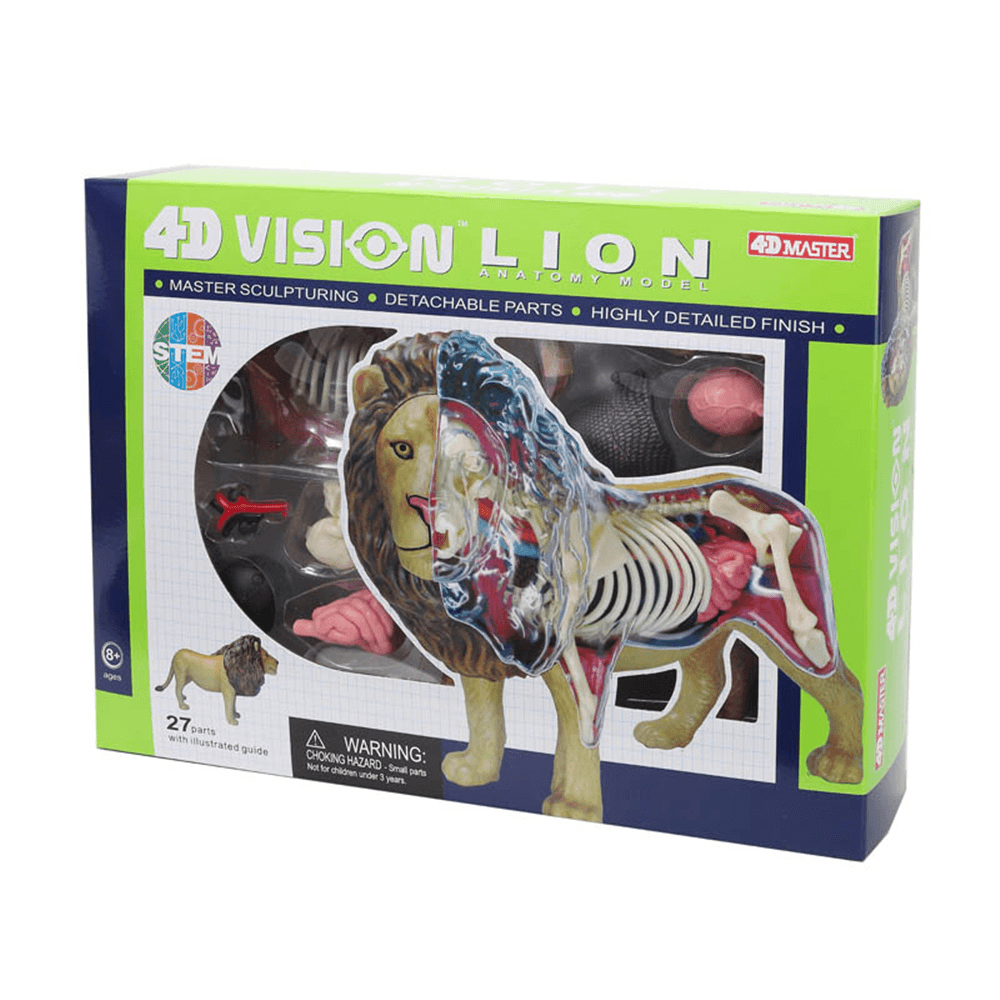 4D MASTER Lion Beast Wild Animal Internal Organs Anatomy Teaching Model Puzzle Assembly Toy