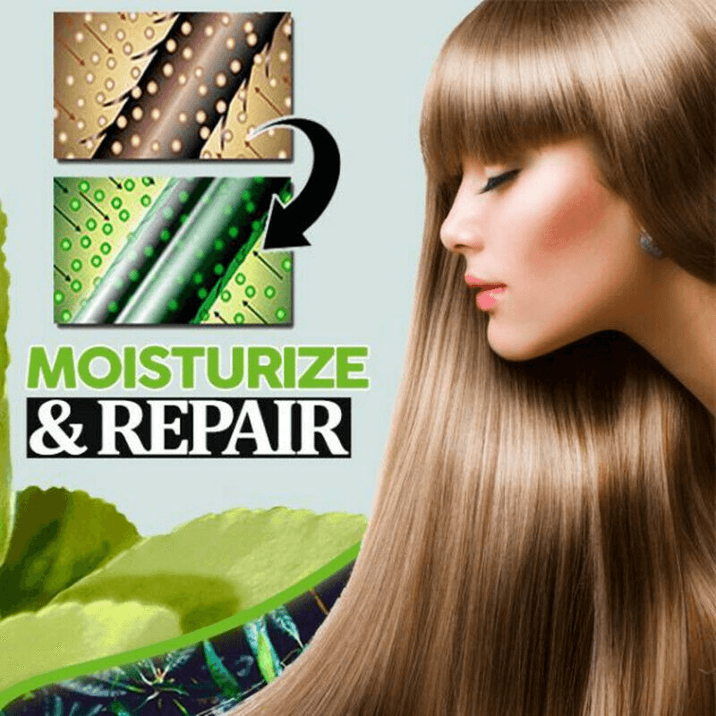 Polygonum Multiflorum Black Hair Shampoo Jabón Champú Natural Orgánico Acondicionador y Reparador