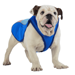 Chaleco fresco de verano para perros y mascotas, transpirable, cómodo, protector solar, ropa de refrigeración, chaqueta, chaleco para mascotas