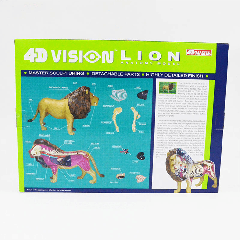 4D MASTER Lion Beast Wild Animal Internal Organs Anatomy Teaching Model Puzzle Assembly Toy