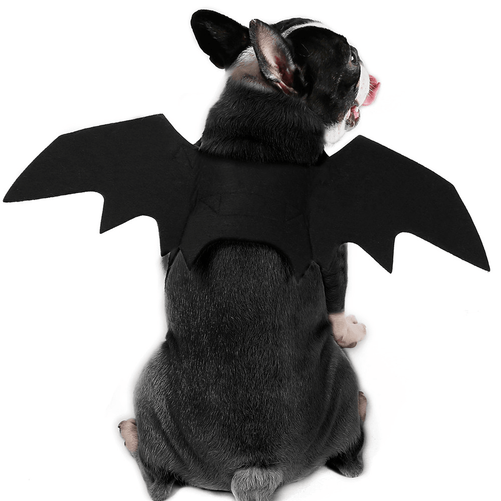 Halloween Black Bat Wings Cute Party Decoration Toys