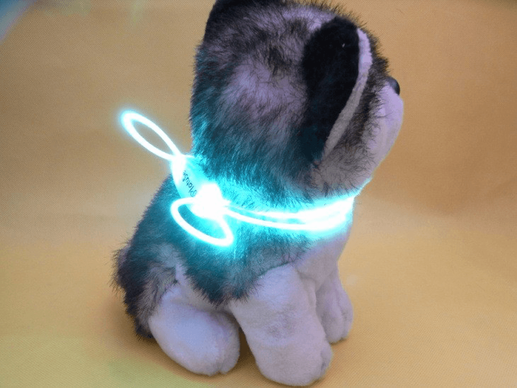 Colorful LED Pet Dog Collar Chain Luminous Light LED Dog Cat Night Light Collar