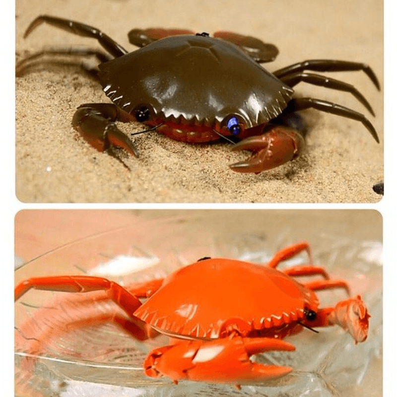 LE YU Infrared Remote Control Crab Simulation RC Animal Toy 9995