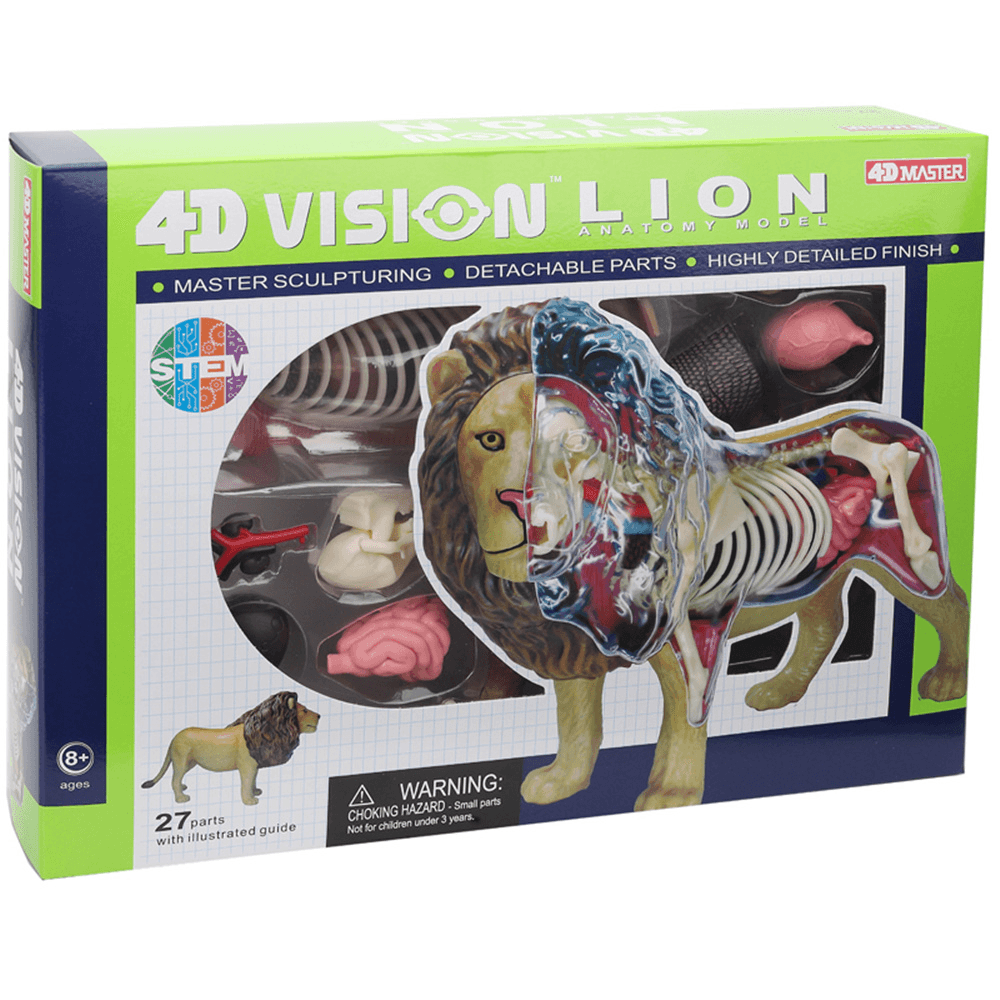 4D MASTER Lion Beast Wild Animal Internal Organs Anatomy Teaching Model Puzzle Assembly Toy