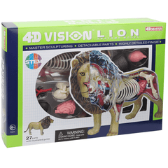 4D MASTER Lion Beast Wild Animal Internal Organs Anatomy Teaching Model Puzzle Assembly Toy