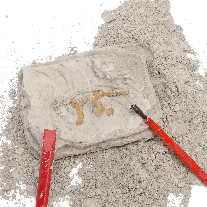 Dinosaur Fossils Excavation Kit Archaeology Dig up History Skeleton Fun Kids Gift Toys