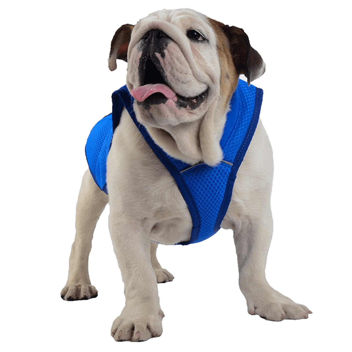 Chaleco fresco de verano para perros y mascotas, transpirable, cómodo, protector solar, ropa de refrigeración, chaqueta, chaleco para mascotas