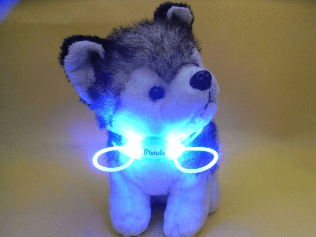 Colorful LED Pet Dog Collar Chain Luminous Light LED Dog Cat Night Light Collar