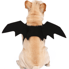 Halloween Black Bat Wings Cute Party Decoration Toys