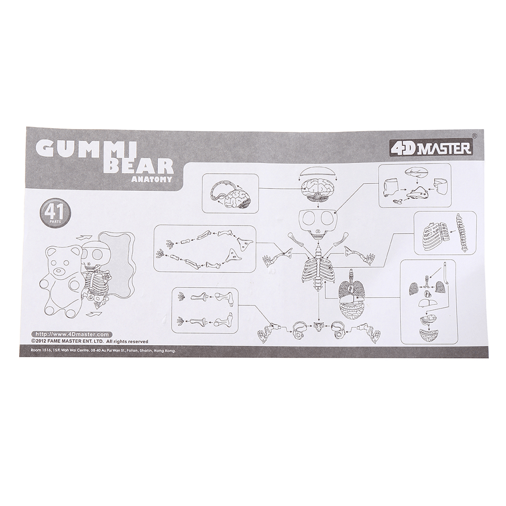 4D MASTER STEM Anatomy Model Gummi Bear Skeleton Anime Assembly Action Figure Gifts Science Animal Model