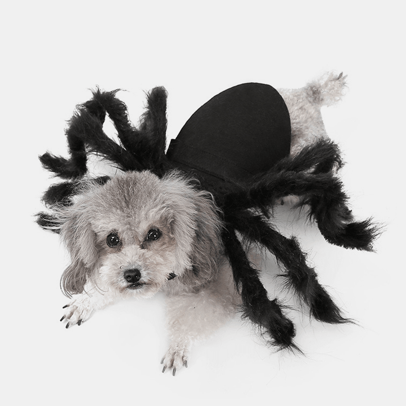 Pet Halloween Funny Spider Clothes Cat Dog Horror Simulation Plush Spider Clothes for Party Dress