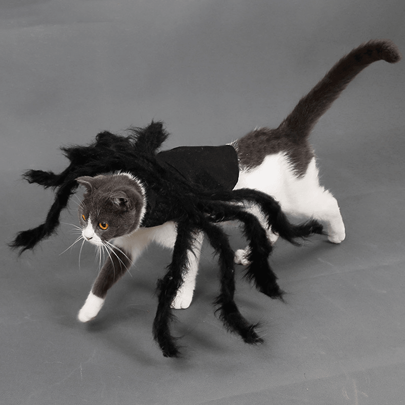 Pet Halloween Funny Spider Clothes Cat Dog Horror Simulation Plush Spider Clothes for Party Dress