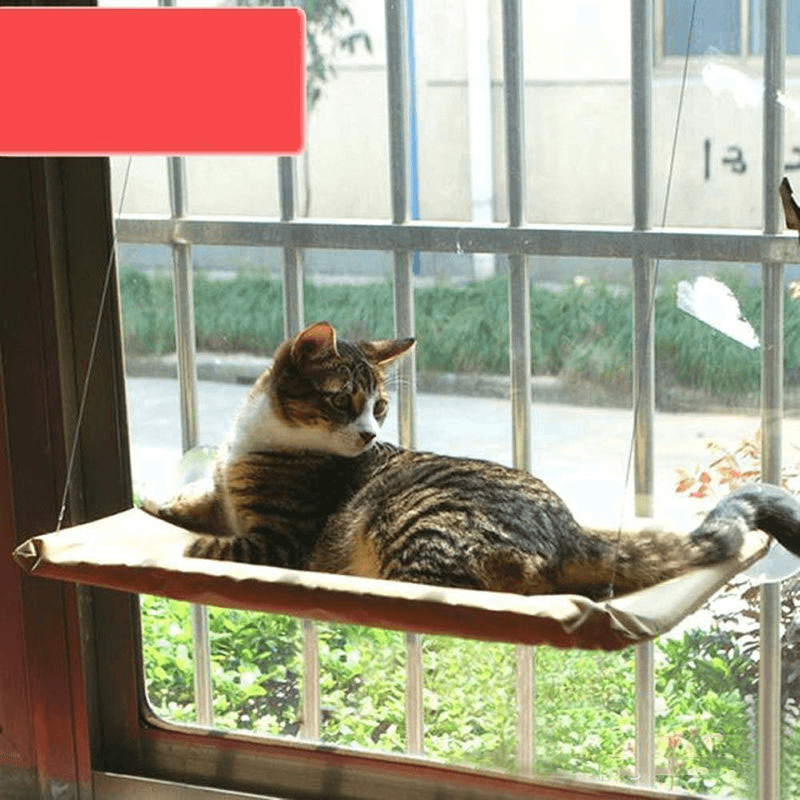 Kreatives Haustierbett für Welpen und Katzen, Hängematte, am Fenster montiertes Bett, hängende Regalsitze, einfach zu installieren, unterstützt 22 kg