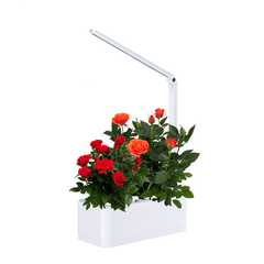 8W Intelligent Automatic Watering Pot LED Soilless Hydroponic Flower Pot Indoor Plant Growth Lamp Home Decoration