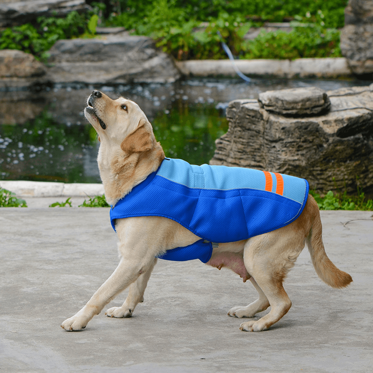 Chaleco fresco de verano para perros y mascotas, transpirable, cómodo, protector solar, ropa de refrigeración, chaqueta, chaleco para mascotas