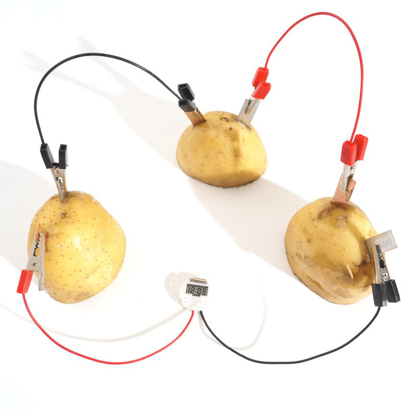 DIY Potato Powered Fruit Digital Clock Kit for Kids Children Science Learning Experience Toys