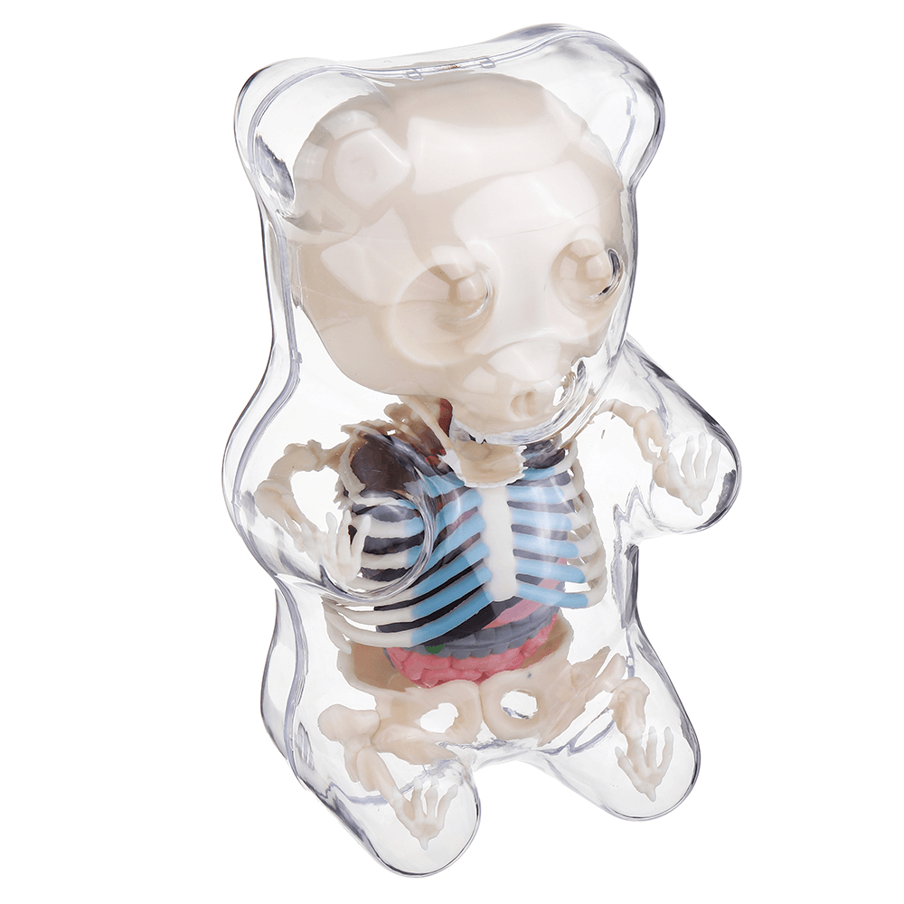 4D MASTER STEM Anatomy Model Gummi Bear Skeleton Anime Assembly Action Figure Gifts Science Animal Model