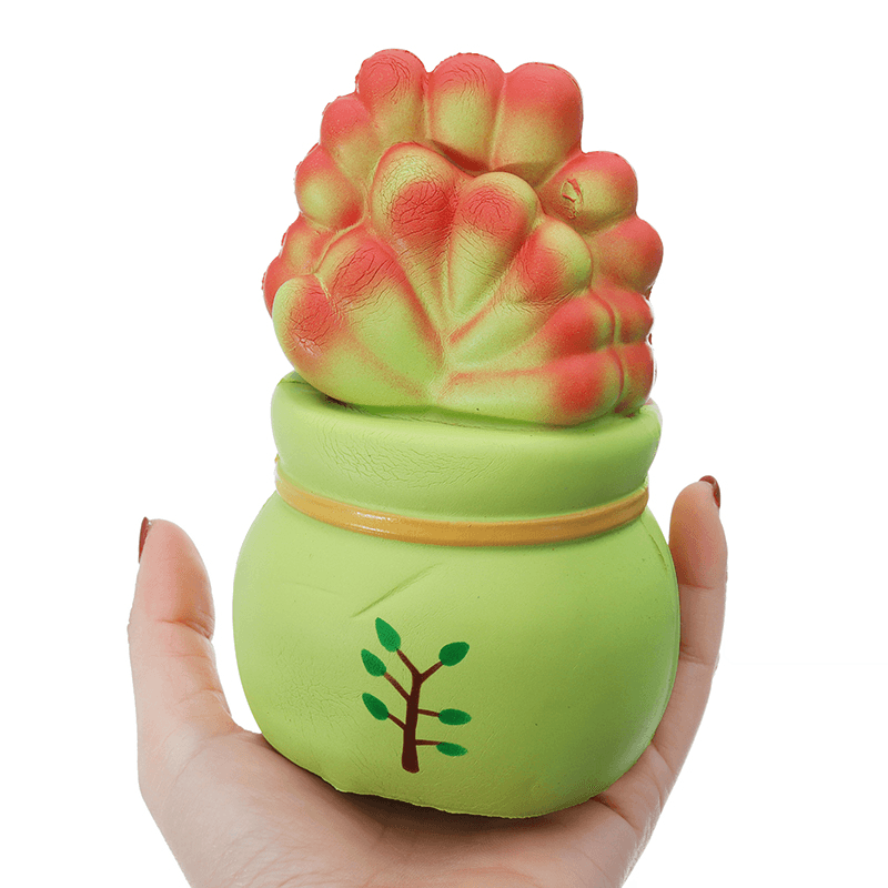 Vlampo Licensed Slow Rising Squishy Potted Succulents Lucky Plant Home Decoration Stress Release Toy 14Cm