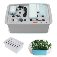 220V Soilless Hydroponic System Kit Indoor Aerobic Cultivation 24 Holes Water Planting Grow Box for Garden Planting