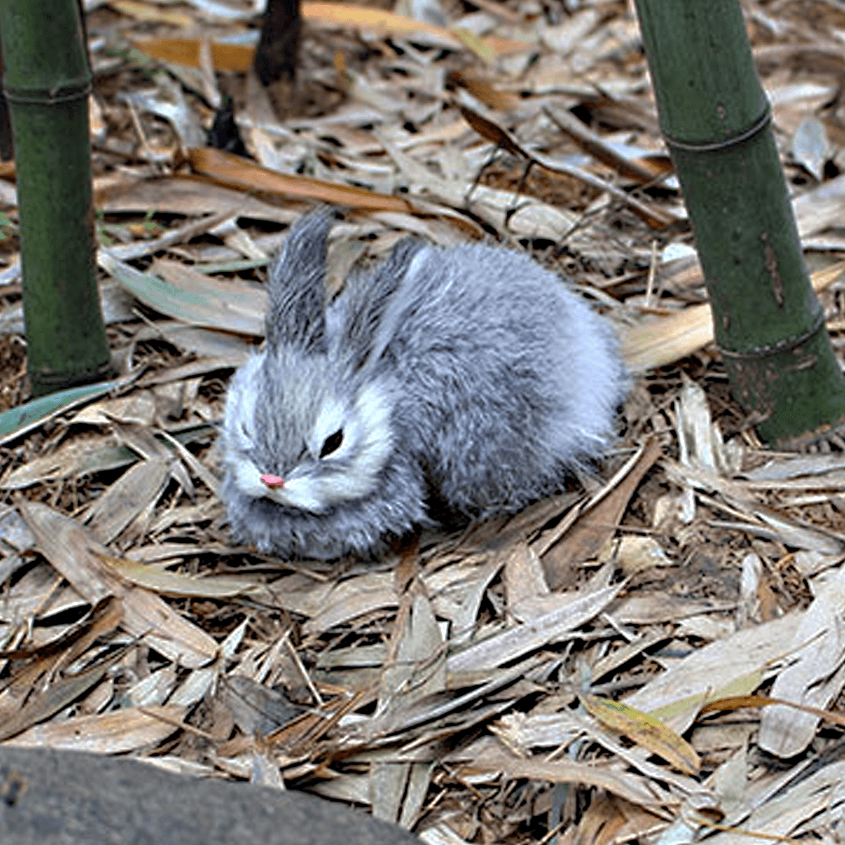 15 cm Mini-realistisches, niedliches weißes Plüsch-Kaninchenfell, lebensechtes Tier, pelziger Osterhase, gefülltes Plüschtier