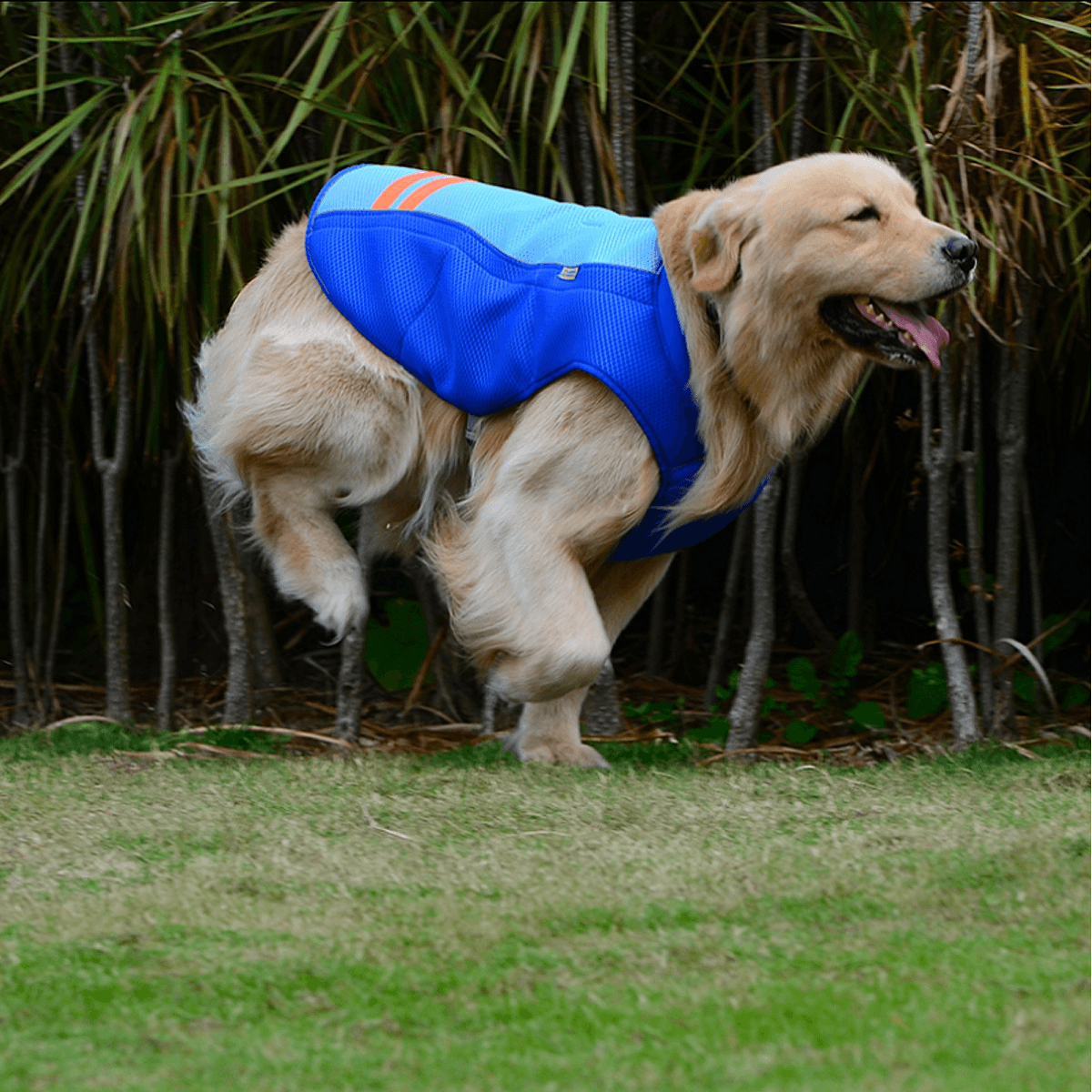 Chaleco fresco de verano para perros y mascotas, transpirable, cómodo, protector solar, ropa de refrigeración, chaqueta, chaleco para mascotas