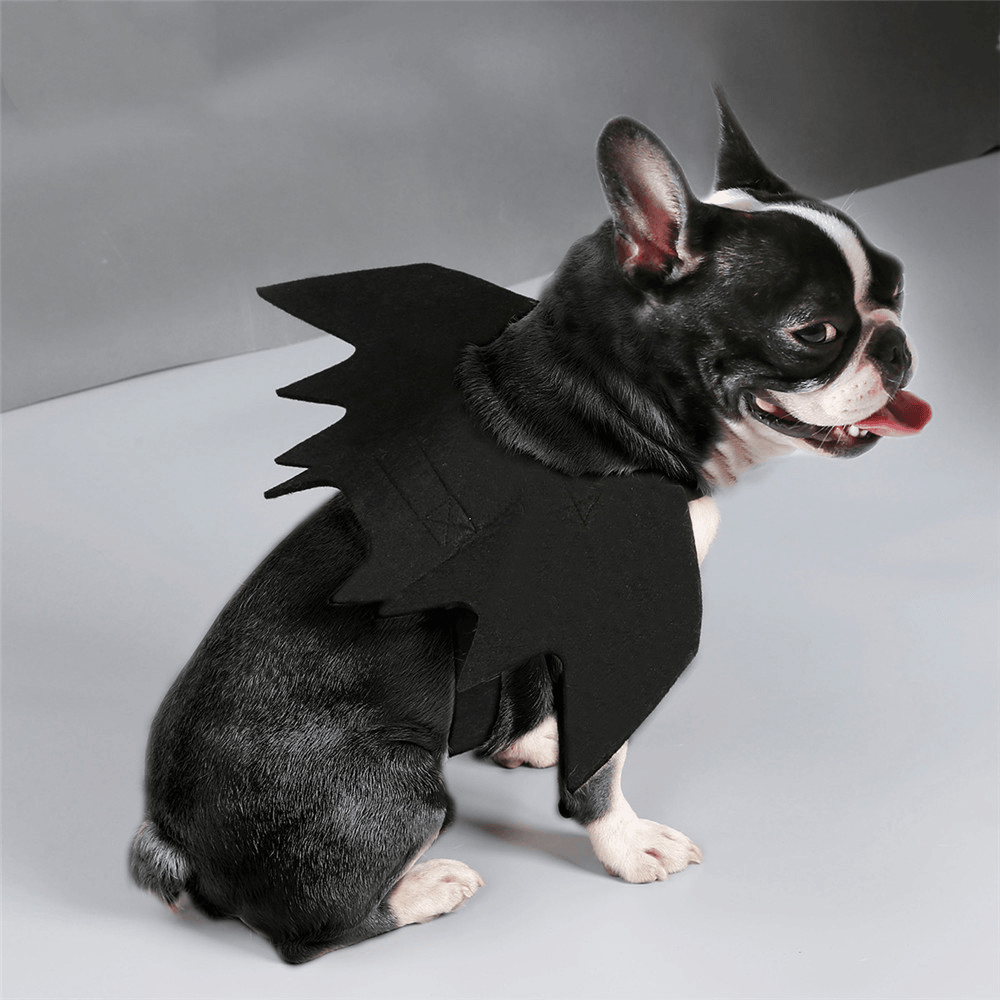 Halloween Black Bat Wings Cute Party Decoration Toys