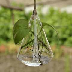 Hanging Water Drop Shaped Glass Hydroponics Flower Vase Home Garden Wedding Party Decoration