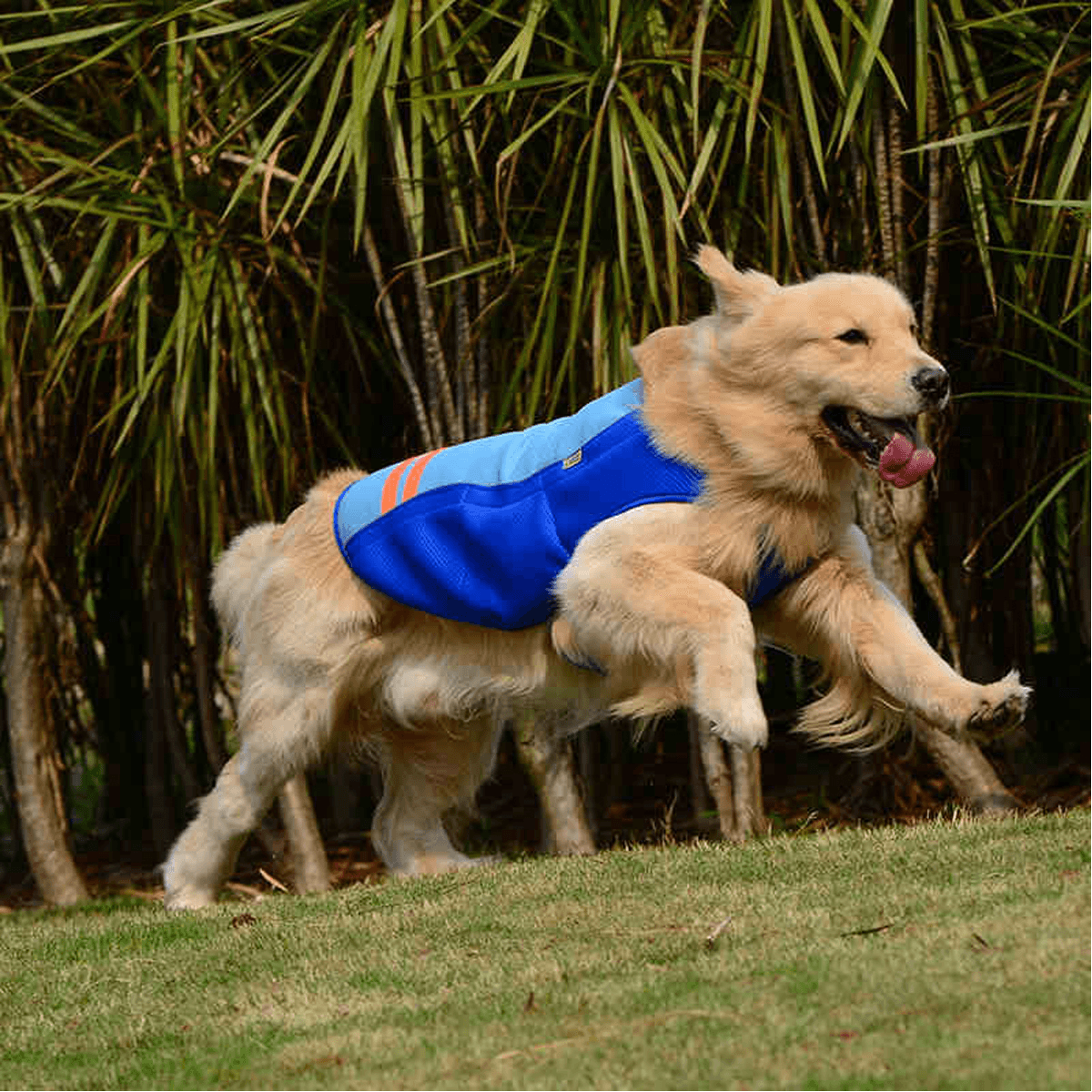 Chaleco fresco de verano para perros y mascotas, transpirable, cómodo, protector solar, ropa de refrigeración, chaqueta, chaleco para mascotas