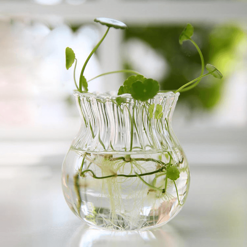 Hydroponic Plants Stripe Shape Glass Bottle Vase Home Garden Wedding Party Decoration