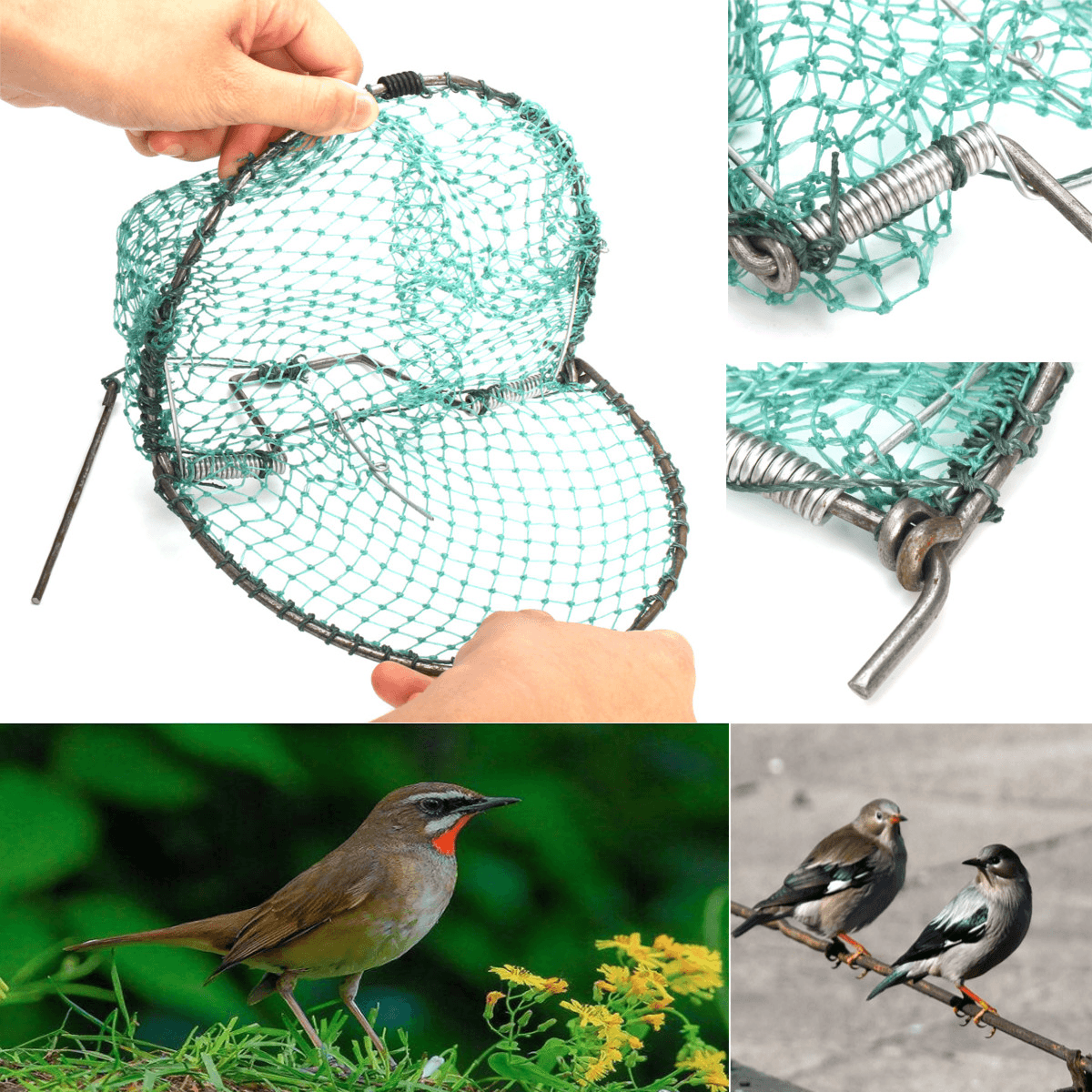 20Cm Heavy Duty Sparrow Pigeon Starling Humane Live Hunting Trap Bird Net