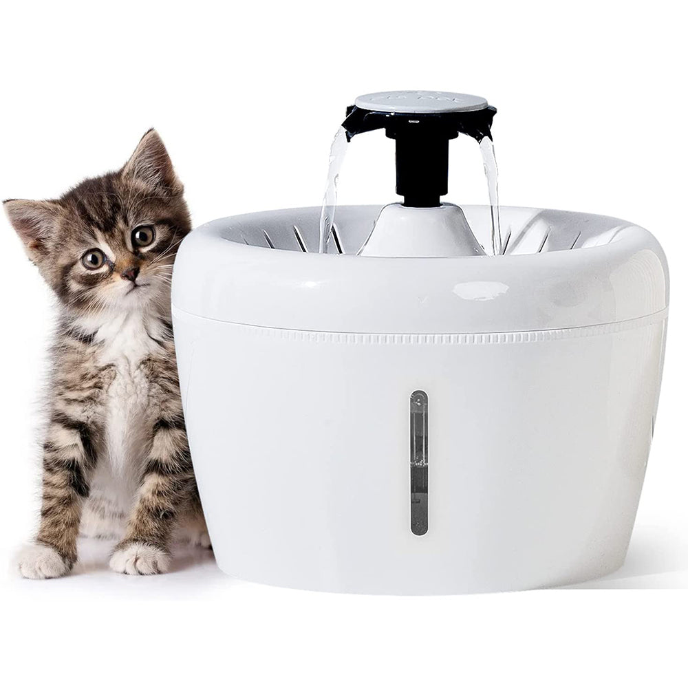 Apple Cat Water Fountain