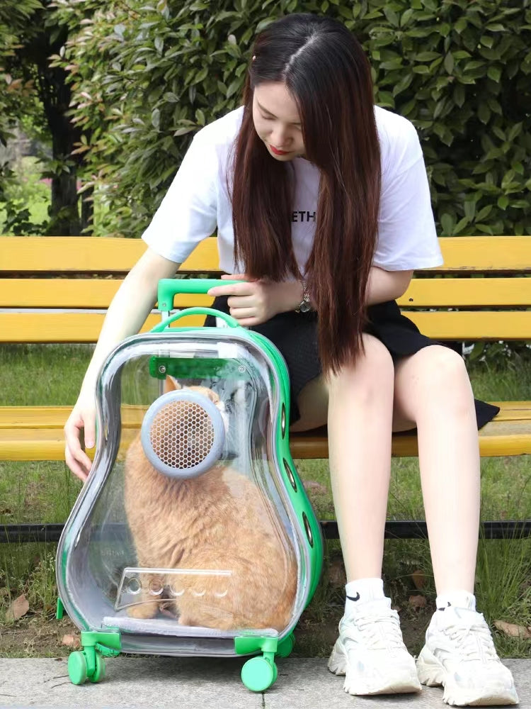 Carrello da viaggio portatile per animali domestici stile chitarra