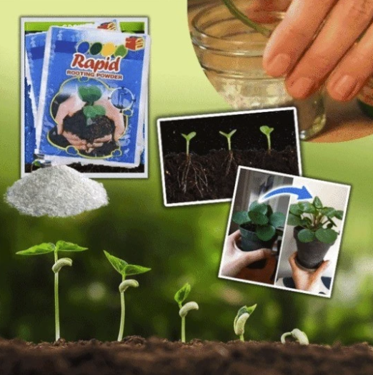 RapidRoot™ Organic Growth Powder【50% OFF Ends Today】